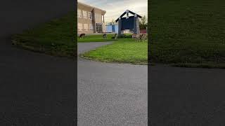 IMG 6792