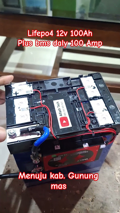 baterai badak lifepo4 12v 100ah plus bms daly 100 ampere | untuk setrum ikan