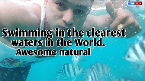 Mnemba island Atoll, Clearest Water in the world. PHENOMENAL PRIVATE ISLAND RESORT. Zanzibar 2019