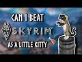 Can I Beat SKYRIM As A Lore Accurate Cat?
