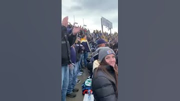 Cat-griz Beatdown 2019