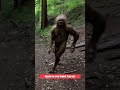 Yeti or sasquatch on trail cam shorts