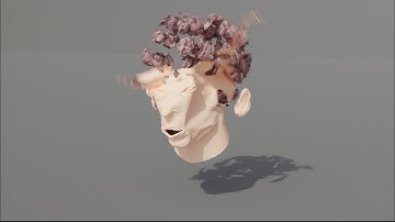 Peter France Head Explosion Demo