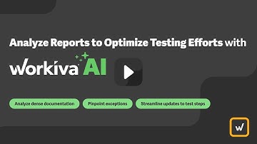 Analyze Reports to Optimize Testing Efforts with Workiva AI