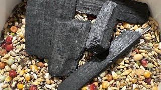 The Benefits of Charcoal for Pigeons. There are many benefits that you may not believe.