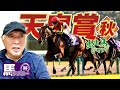 【2024 天皇賞(秋)】出走馬ジャッジ