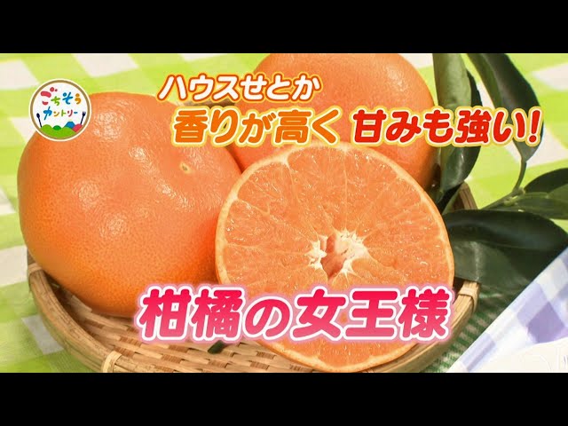 ごちそうカントリー ～香りが高く！甘味み強い！果肉がトロトロ