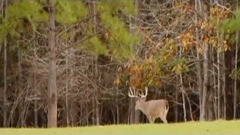 GameKeepers: Riparian Zones