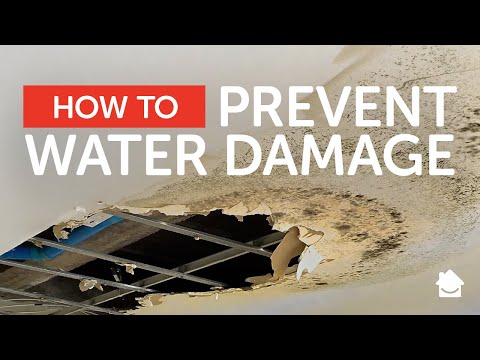 Prevent Water Damage With These Tips