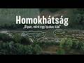 Homokh&aacute;ts&aacute;g 1. "Olyan, mint egy lyukas k&aacute;d"