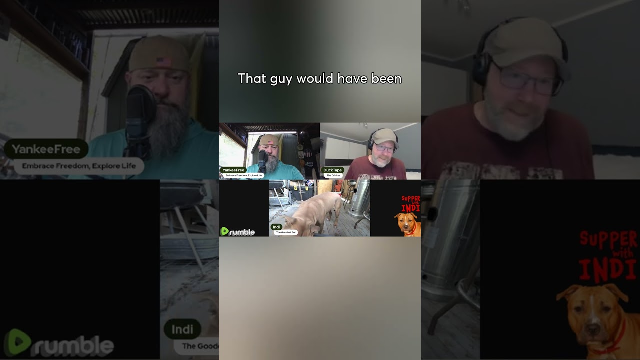 Patty Mayo's Reckless Bounty Hunting! #dog #live #livestream #youtubeshorts #yankeefree #podcast