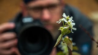 Only NERDS like Macro Photography! Nikon Z9 And 105 MC 2.8