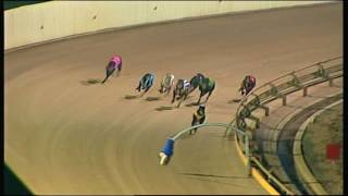 SHP FRI 04 AUG 17 R11