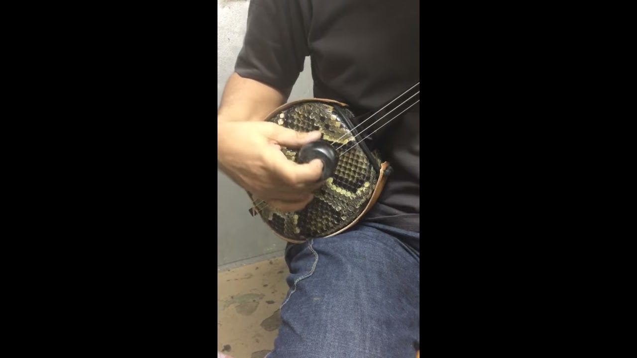 琉球楽器大変貴重【青黒檀】真壁型スンチ 貴重※ 青黒檀 真壁型三線棹 昭和後期作 直線型 | 胴巻屋