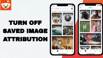 How To Turn Off Saved Image Attribution On Reddit App