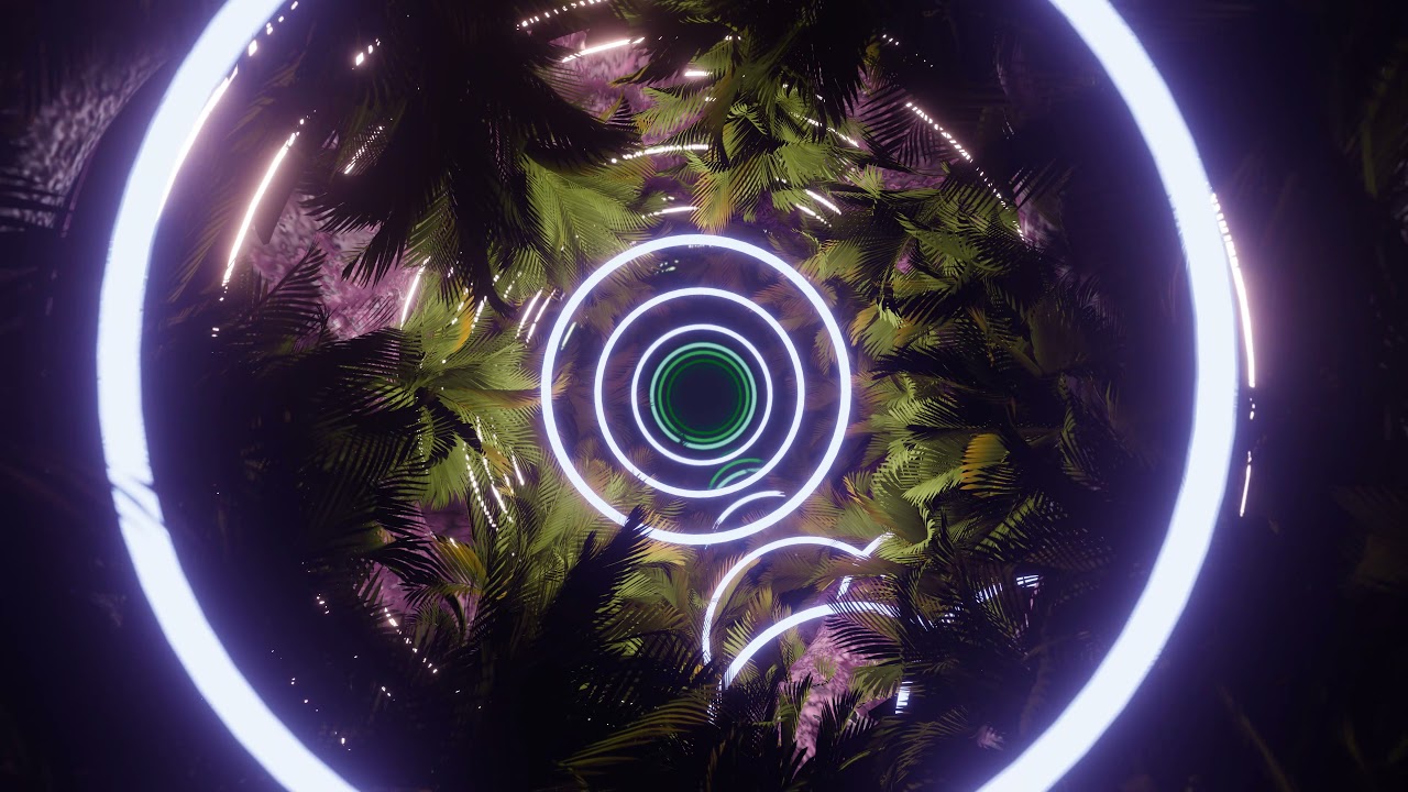 [4K] Looping Palm Tree Tunnel - AMAZING VISUALS