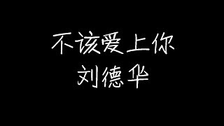 刘德华 - 不该爱上你 (动态歌词)