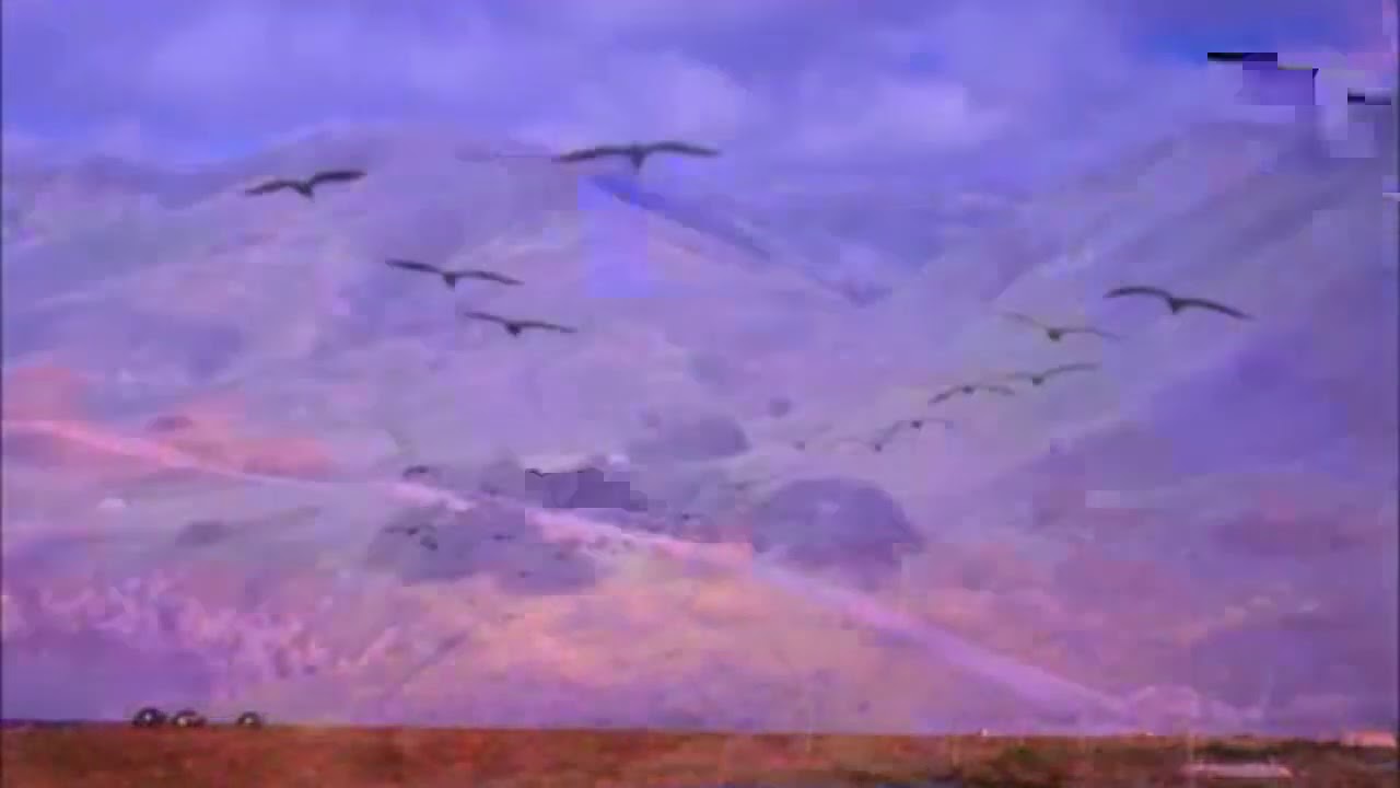 Muscat Magic| Evegreen| Bollywoodclassic|