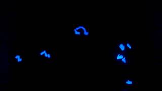 Arise My Love Black Light Easter Performance
