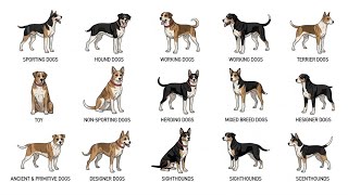 Every Type of Dog Breed Explained | Complete Dog Groups Guide (Sporting, Working, Herding & More)