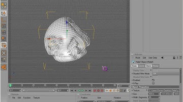 Cinema 4D Basics 02 - Primitive Objects: Cone-Relief