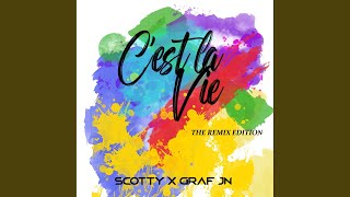 Download lagu C'est la vie (Club Extended)