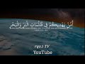 امن يجيب المضطر إذا دعاه تلاوة هادئة تفيض جمالا حالات واتس أب دينية