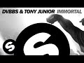 Download Lagu DVBBS & Tony Junior - Immortal (Original Mix)