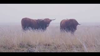 Muhteşem Manzaralarla Muhteşem Himalayalar sizlerle