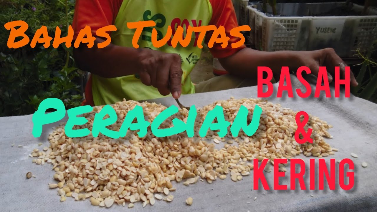 BAHAS TUNTAS PERAGIAN BASAH DAN KERING