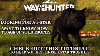 Way of the Hunter | Trophy Animal Aging | 4k Tutorial screenshot 1