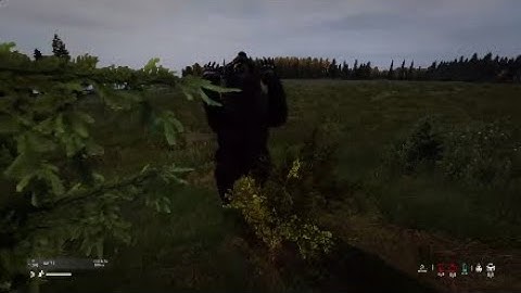 DayZ Bear in an Easter Egg!