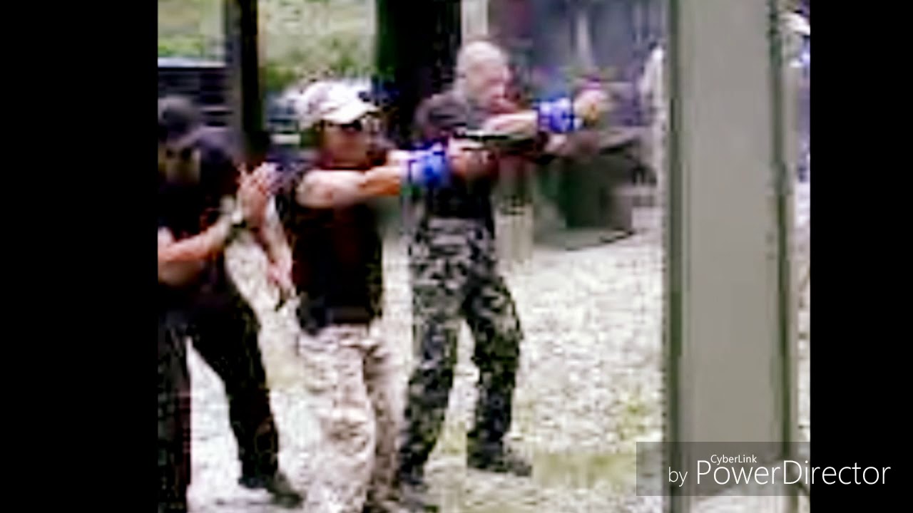 WOLF CLOSE COMBAT: shooting behind cover