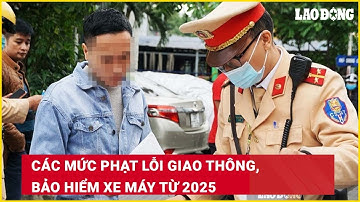 Các mức phạt lỗi giao thông, bảo hiểm xe máy từ 2025| Báo Lao Động