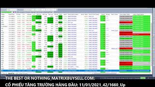 Matrix Index Fund (MTF): Cổ phiếu tăng trưởng hàng đầu: 11/01/2020_42/1660