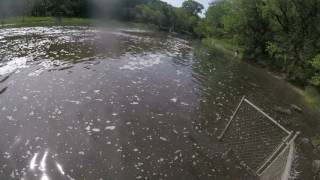 Busse woods il musky jumping