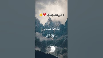 ما تيسر من سوره المؤمنون {ولَقَدْ خَلَقْنا الإنْسانَ مِن سُلالَةٍ مِن طِينٍ} ياسر الدوسري #اكسبلور