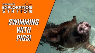 Exploring Bahamas: Swimming with Pigs!