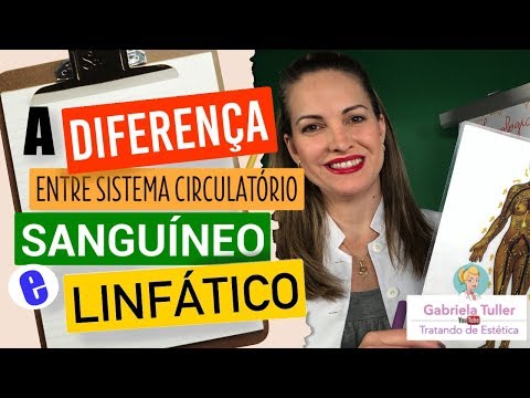 Vídeo: Diferença Entre Sistema Circulatório E Sistema Linfático