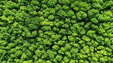 Regenerative Agriculture | VF Corps: Sustainable Solutions