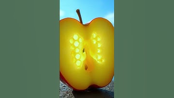 Did you know that apples float in water? #shorts #didyouknowfacts