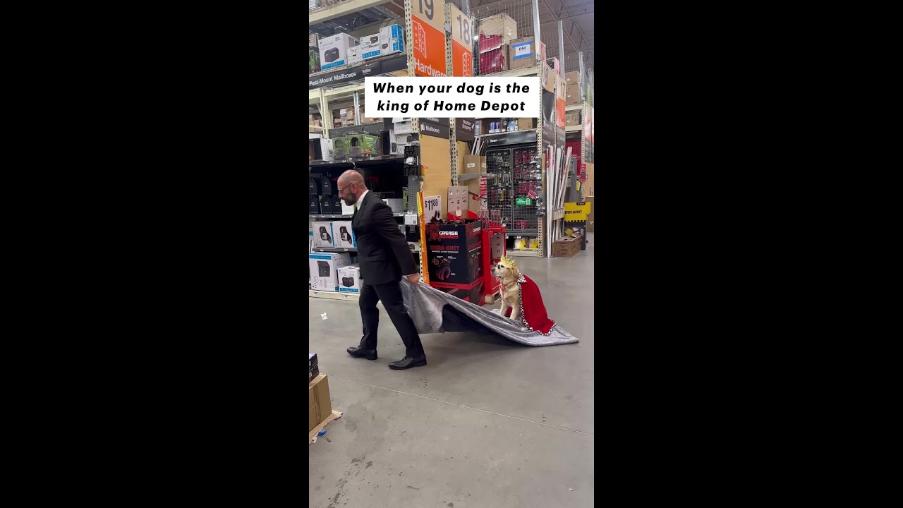 When your dog is the king of Home Depot!
