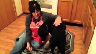 Tuckie And His Grandma