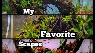 Last video of 2025 / Cinematic video from my favorite scapes so far