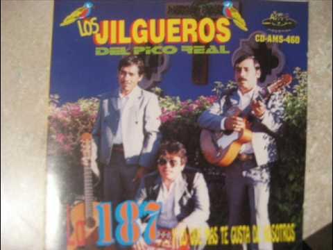 Los JILGUEROS DEL PICO REAL-DEL FILO MAYOR GUERRERO