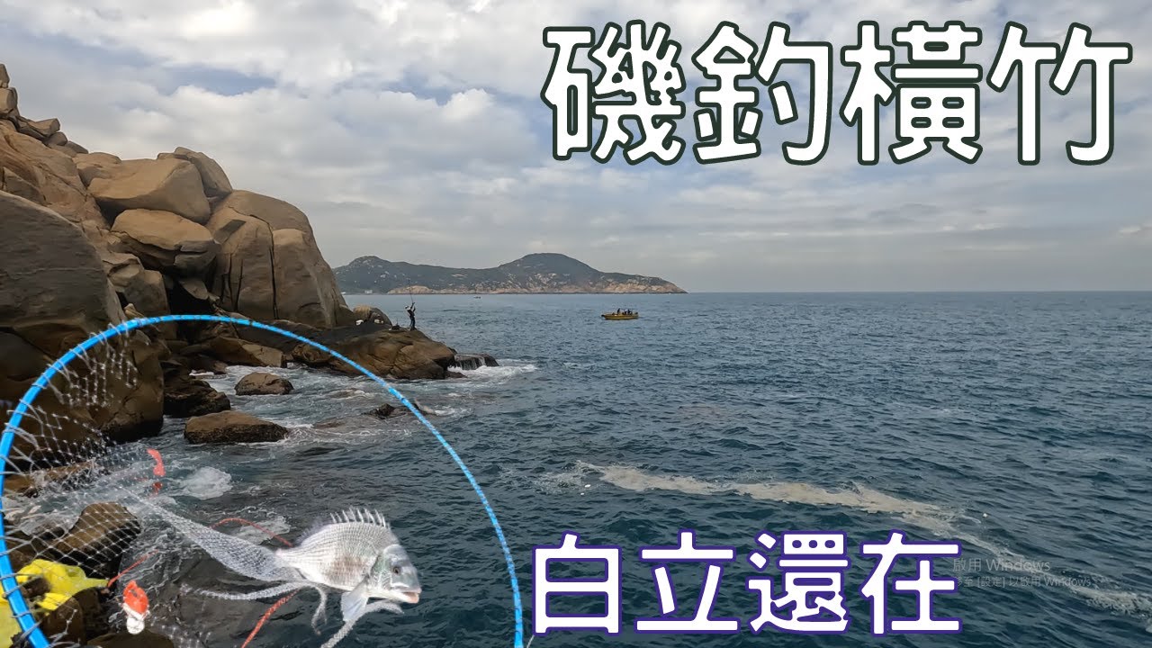 磯釣橫竹州 白鱲還在