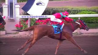 Vidéo de la course PMU PRIX FUERA DE CONTROL