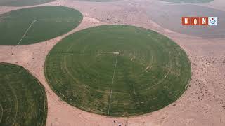 وزارة الزراعة: نشيد بالجهود التي تدير مشاريع وبرامج العتبات المقدسة