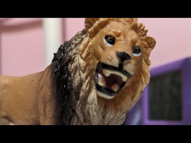 My Lion Figure Collection! 2024 - YouTube