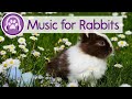 Music for Bunnies | Soft Soothing Sleep Songs ✨ | INSTANT RELAXATION 🐰